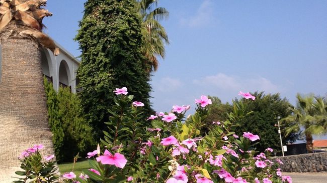 Onar Village Kyrenia  Facilități foto
